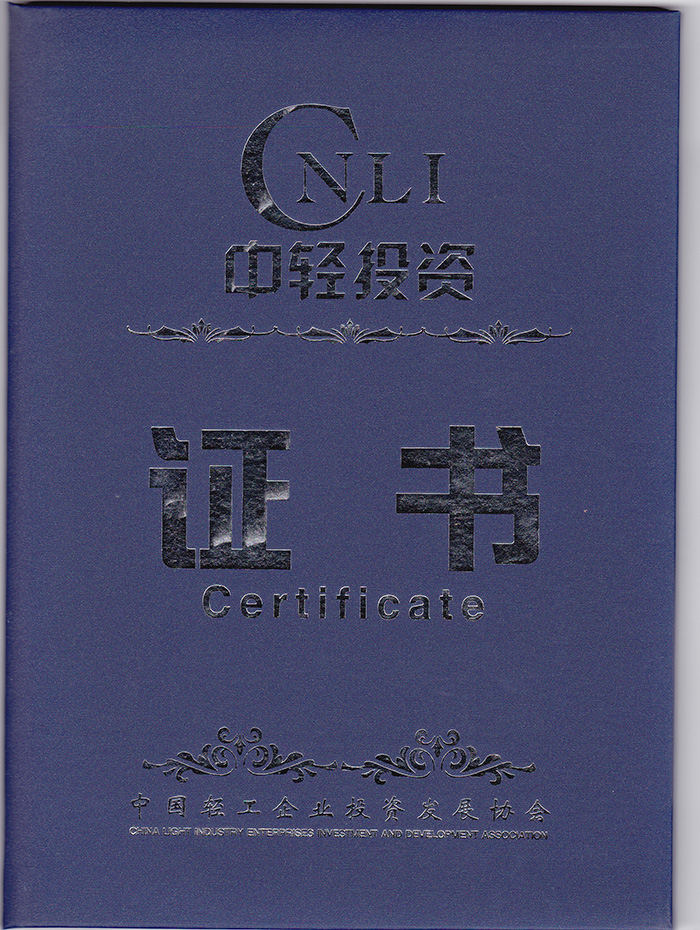 中輕投資